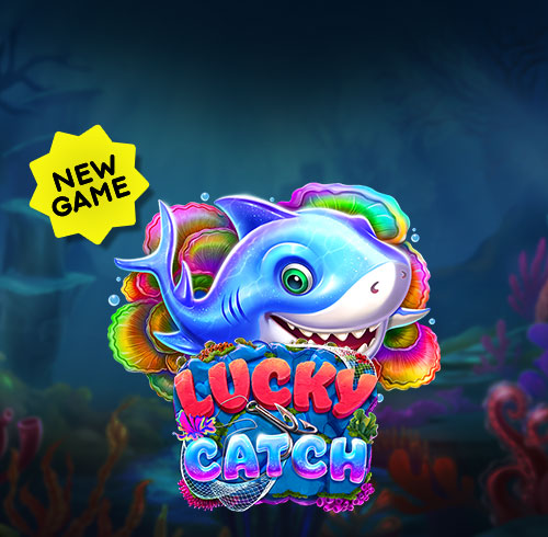 new game