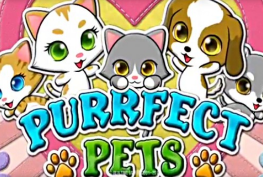 Cover art for Purrfect pets RTG slot has 3 kittens and 1 puppy