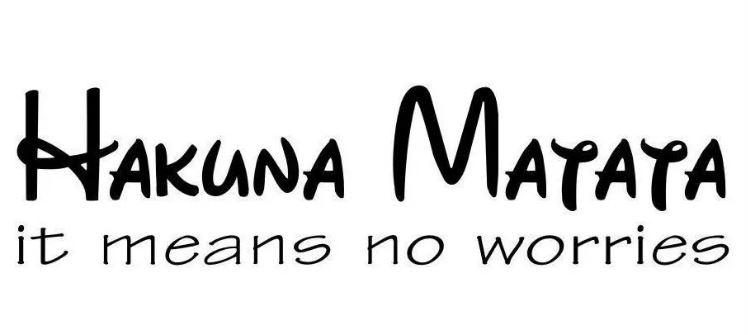 Hakunas Matata: Live a worry free life