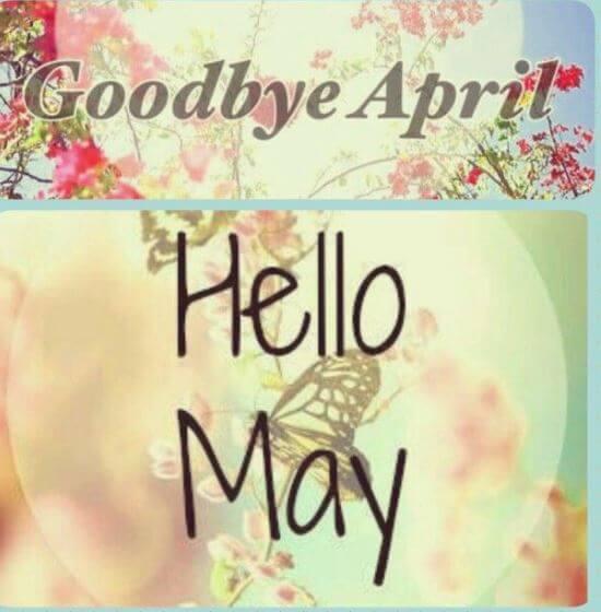 Hello to the Month of May!